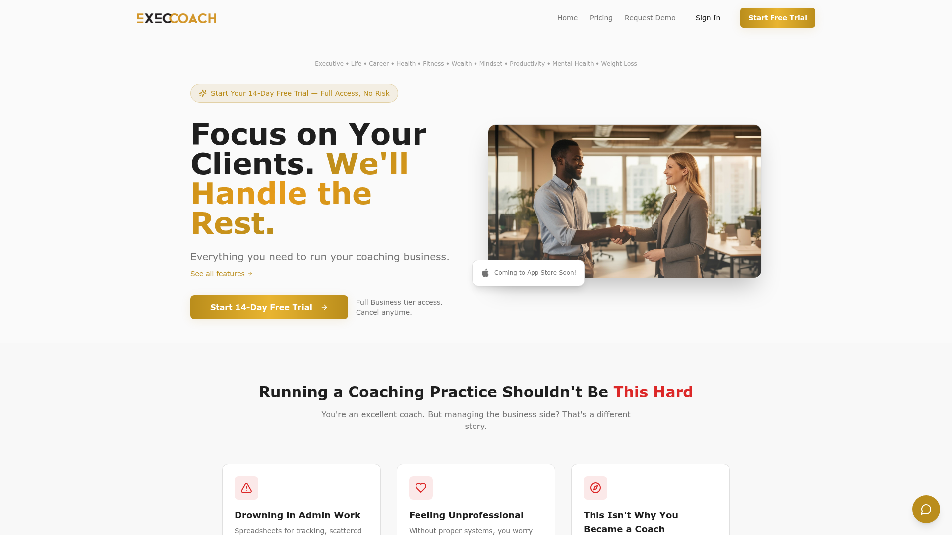 Exec Coach website preview
